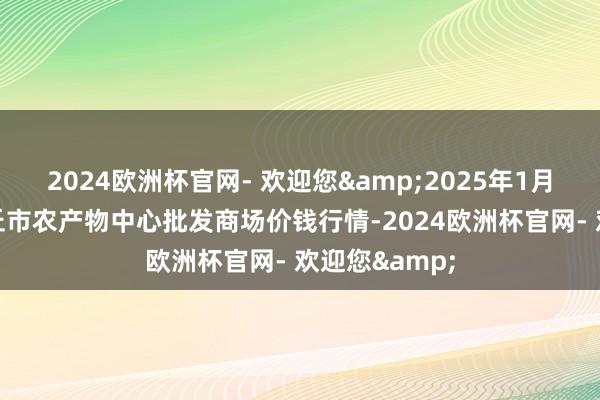 2024欧洲杯官网- 欢迎您&2025年1月11日河